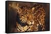 Jaguar-DLILLC-Framed Stretched Canvas