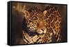 Jaguar-DLILLC-Framed Stretched Canvas