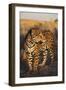 Jaguar-DLILLC-Framed Premium Photographic Print