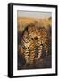 Jaguar-DLILLC-Framed Premium Photographic Print