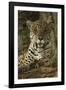 Jaguar-Joe McDonald-Framed Photographic Print