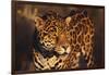 Jaguar-DLILLC-Framed Photographic Print