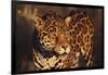 Jaguar-DLILLC-Framed Photographic Print