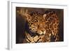 Jaguar-DLILLC-Framed Photographic Print