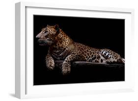 Jaguar-yulius handoko-Framed Photographic Print