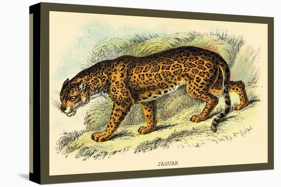 Jaguar-Sir William Jardine-Stretched Canvas