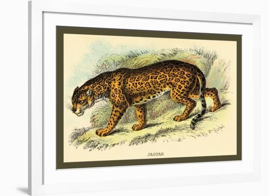 Jaguar-Sir William Jardine-Framed Art Print
