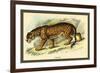 Jaguar-Sir William Jardine-Framed Art Print