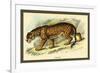Jaguar-Sir William Jardine-Framed Premium Giclee Print