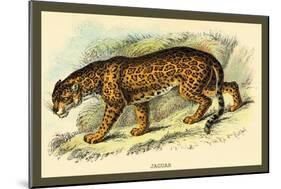 Jaguar-Sir William Jardine-Mounted Art Print