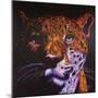 Jaguar-Rock Demarco-Mounted Giclee Print