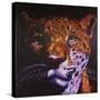 Jaguar-Rock Demarco-Stretched Canvas