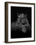 Jaguar-Geraldine Aikman-Framed Giclee Print