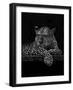 Jaguar-Geraldine Aikman-Framed Giclee Print