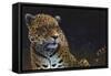 Jaguar-Durwood Coffey-Framed Stretched Canvas