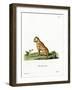 Jaguar-null-Framed Giclee Print