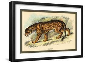 Jaguar-Sir William Jardine-Framed Art Print