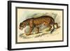 Jaguar-Sir William Jardine-Framed Art Print