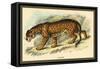 Jaguar-Sir William Jardine-Framed Stretched Canvas