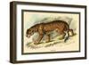 Jaguar-Sir William Jardine-Framed Premium Giclee Print