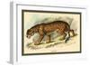 Jaguar-Sir William Jardine-Framed Premium Giclee Print