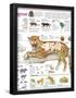 Essential Black