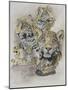 Jaguars-Barbara Keith-Mounted Giclee Print