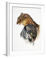 Jaguarundi-Barbara Keith-Framed Giclee Print