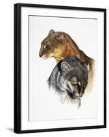 Jaguarundi-Barbara Keith-Framed Giclee Print