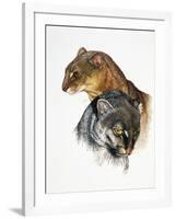 Jaguarundi-Barbara Keith-Framed Giclee Print