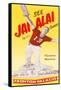 Jai Alai Poster-null-Framed Stretched Canvas