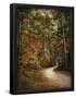 Essential Black