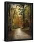 Essential Black