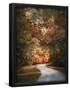 Essential Black