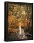 Essential Black