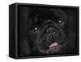 Canvas Black