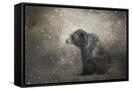 Canvas Black