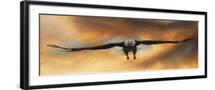 Black Frame