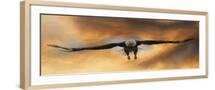 Brown Frame