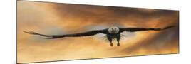 Wood Mount