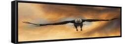 Framed Canvas