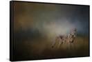 Canvas Black