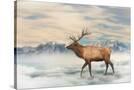 Stretched Canvas