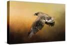 Stretched Canvas