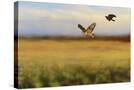 Stretched Canvas