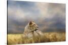Stretched Canvas