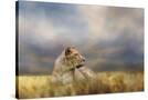 Stretched Canvas