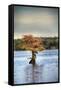 Canvas Black