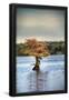 Essential Black