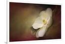 Gramercy White